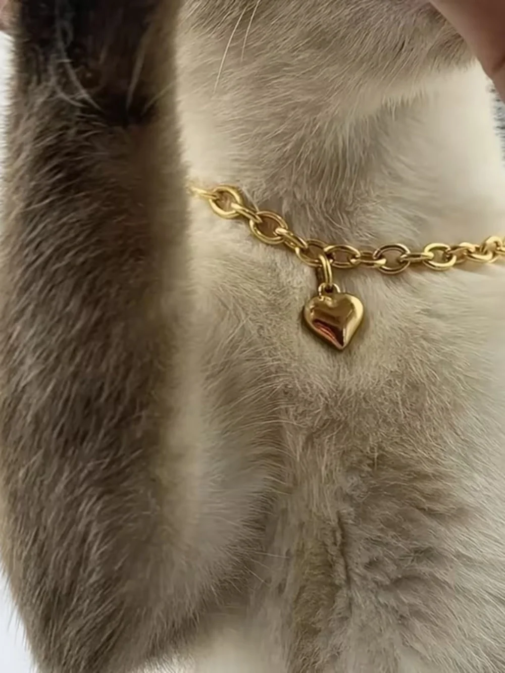 Adjustable Gold Heart Cat Necklace Size Medium 💗 Pet Collar Pendant